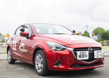 取得免許一覧/普通自動車(MT・AT)